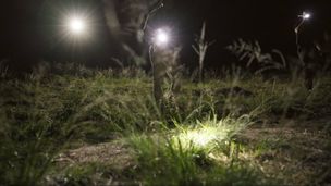 Emission du 09 févr. 2025