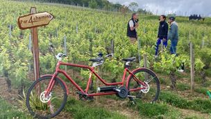 Ludivine Griveau et les vignerons de Meursault