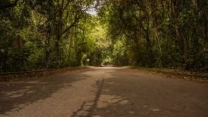 Emission du 03 déc. 2025