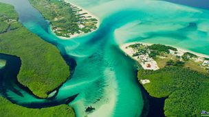 Gabon : L'Eden de l'Afrique