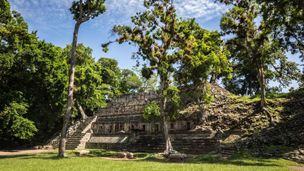 Honduras - L'empreinte des Mayas