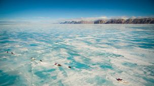 Arctique Canadien - Le règne du blanc