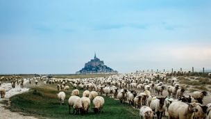 Normandie - Terre d'abondance