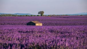 La Région Sud - Une terre à trois visages
