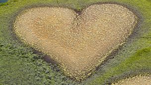  Nouvelle-Calédonie - Joyau de la biodiversité