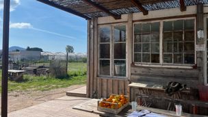 Episode du 12 janv. 2026