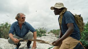 Au coeur du lac Victoria en Ouganda