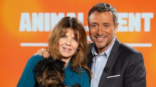 Emission du 15 févr. 2026