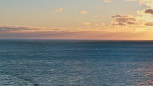 Japon, à la poursuite du thon rouge