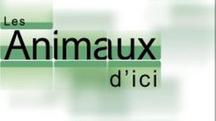 Emission du 11 mars 2026