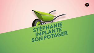 Emission du 05 mai 2026