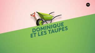 Emission du 05 mai 2026