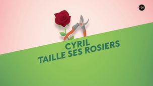 Emission du 05 mai 2026