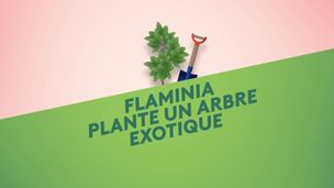 Emission du 05 mai 2026