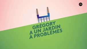 Emission du 05 mai 2026