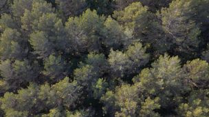Emission du 26 mai 2026