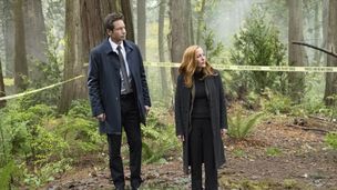 Episode 5 (1/2)