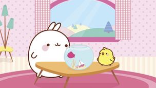 Episode 20