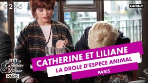 La drôle d'espèce animale