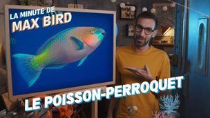 Emission du 24 juil. 2025