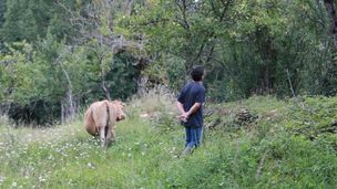 Les racines de demain