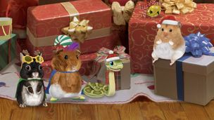 Sauvons le hamster en vacances ! / Sauvons le petit bonhomme de neige !