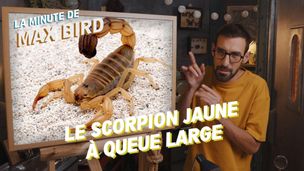 Emission du 12 août 2025