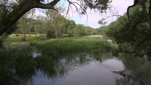 Emission du 04 mars 2026