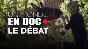 Emission du 07 févr. 2026