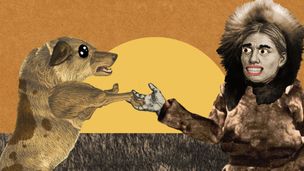 Est-il vrai que le chien a toujours été le meilleur ami de l'Homme ?