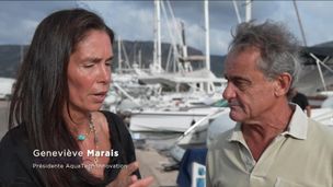 Emission du 23 mai 2026