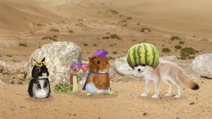 Sauvons le fennec ! / Sauvons la tortue géante !