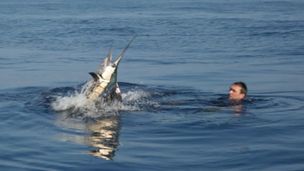 Combat à mains nues