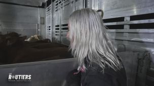 Episode 22