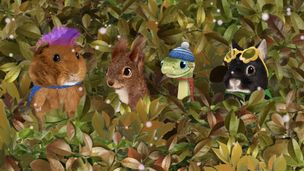 Sauvons l'écureuil roux ! / Sauvons le bousier !