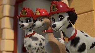 Les chiens-pompiers à la rescousse / Une aire de jeu démontable