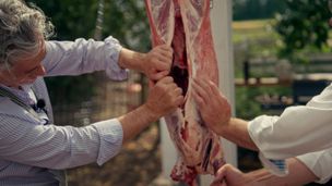 Est-il vrai que nous avons toujours mangé de la viande ?