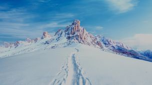 Emission du 07 févr. 2026