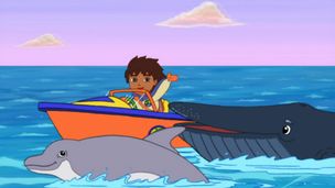 Episode 12