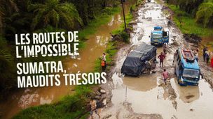 Sumatra, maudits trésors