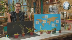 Les plantes carnivores : mystérieuses et ingénieuses