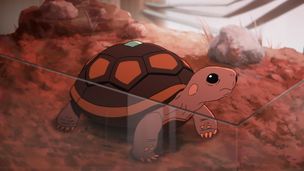 Episode 9