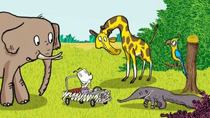 Ib raconte une blague