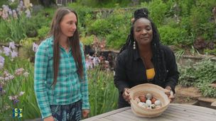 Emission du 25 févr. 2026