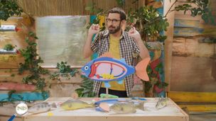 Les poissons, champions de l'adaptation