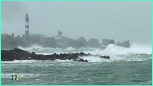 Tempêtes : quand le vent se déchaine