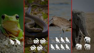 Emission du 30 mai 2025