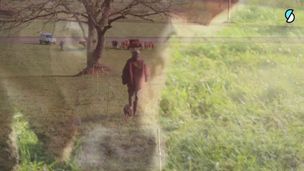 Les racines de demain