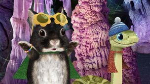 Sauvons le puma ! / Sauvons le petit poussin !