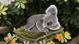 Sauvons le mignon dormant ! / Aidons l’ours à s’habiller !